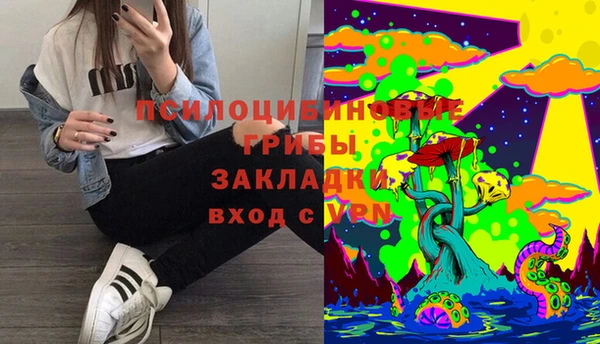 метамфетамин Алексеевка