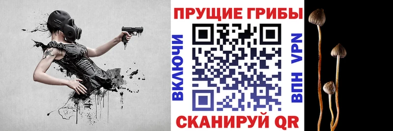 Псилоцибиновые грибы мицелий  Нолинск 